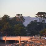 Cambria_CN_0069 (November 07, 2015)